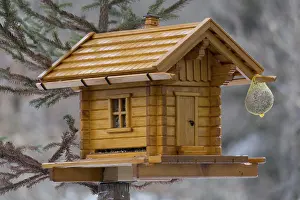 Eco Friendly Bird Feeder Prints: Exquisite bird house made from solid wood
