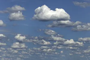 Cumulus Humilis Clouds Prints: Fair weather clouds, cloud clusters