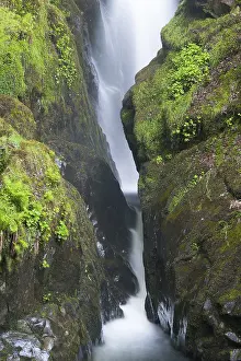 United Kingdom Travel Photography Prints: Famous Aira Force waterfall on Aira Beck river in Lake District