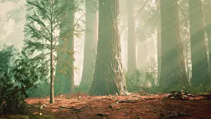 Prints of Fantasy firefly lights in the magical forest Firefly Prints: Fantasy Firefly Lights Print in Magical Forest