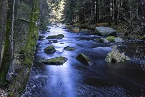 Lower Austria Landscape Prints: A fast-flowing river flows through dense
