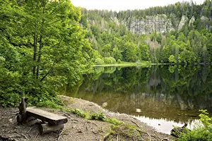 Baden Wurttemberg Waterfront Prints: The Feldsee with a bench in front of it