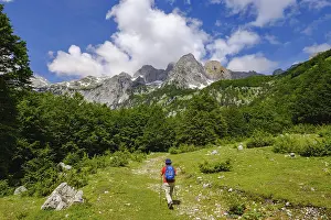 Prints of Female hiker in Kukaj Valley with Jezerca, Maja e Jezerces, Valbona National Park, Albanian Alps, Prokletije, Qar Kukes, Albania Female hiker in Kukaj Valley with Jezerca, Maja e Jezercs Albania Prints: Female Hiker in Kukaj Valley Print, Albania