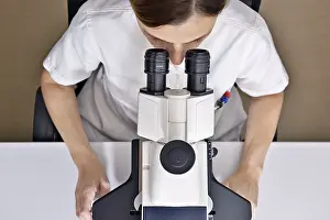 Female Scientist Microscope Prints: Female scientist using a microscope in a laboratory