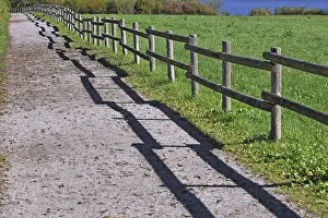 Deserted Promenade Path Prints: Fence with a shadow along the promenade path