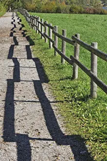 Bavarian Countryside Scene Prints: Fence with a shadow along the promenade path