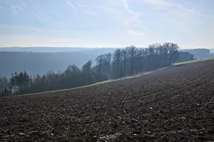 Odenwald Forest Scenery Prints: Field, forest, clouds, spring, Walldurn