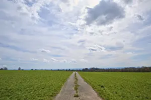Neckar River Waterfront Prints: Field path, meadow, clouds, spring