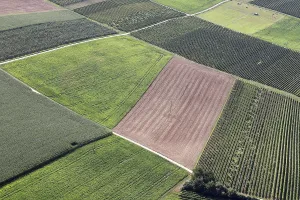 View From Above Germany Prints: Fields from a bird's eye view
Fields from a bird's eye view