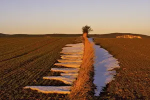 Winter Agricultural Scene Prints: Fields in the evening light, St