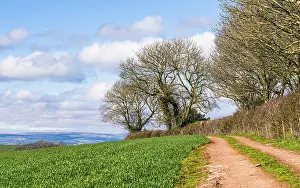 Devon Landscape Photography Prints: Fields and Farmlands over Devon