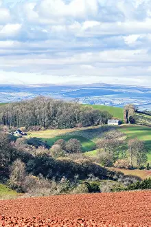 British Countryside Prints: Fields and Farmlands over Devon