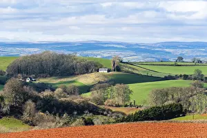 British Countryside Prints: Fields and Farmlands over Devon