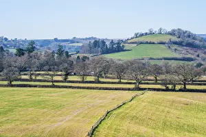 British Countryside Prints: Fields and Farmlands over Devon