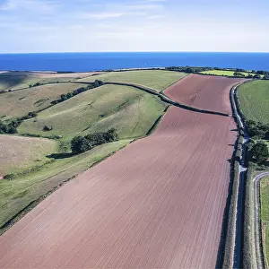 Top Down View Of Fields Prints: Fields and farmlands from a drone