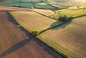 Aerial View Of Devon Prints: Top Down over Fields and Farmlands from a drone