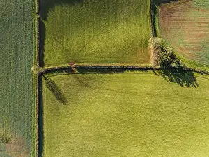 Devon England Landscape Prints: Top Down over Fields and Farms from a drone