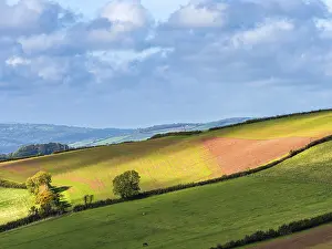 Fields From Above UK Prints: Fields and Farms from a drone, Devon