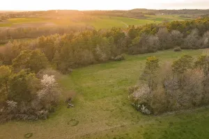 Evening Sun In The Black Forest Prints: Fields and forests in soft sunset light