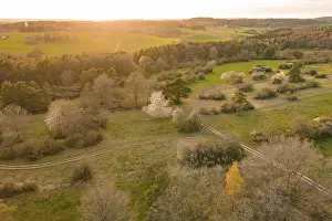Southern Germany Evening Light Prints: Fields and forests stretch out in a warm evening light