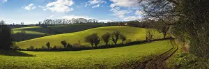 British Countryside Prints: Fields and Meadows of Conqueror Wood