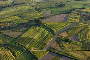Atmospheric Evening Shots Prints: Fields and meadows in evening light