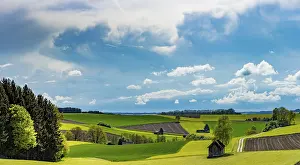 Bavaria Countryside Prints: Fields and meadows with field path and small hut