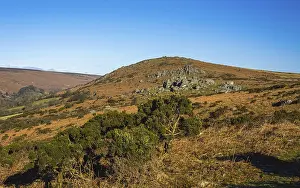 Devon Countryside Prints: Fields and meadows in Haytor Rocks