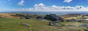 Nature Conservation Area Uk Prints: Fields and meadows in Haytor Rocks