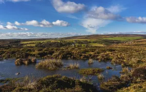 Devon Countryside Scenery Prints: Fields and meadows in Haytor Rocks
