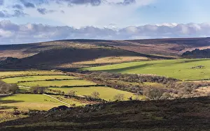 Devon Countryside Scenery Prints: Fields and meadows in Haytor Rocks