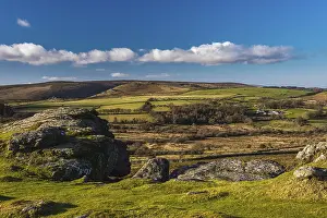 British National Parks Prints: Fields and meadows in Haytor Rocks