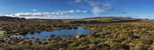British Nature Reserves Prints: Fields and meadows in Haytor Rocks