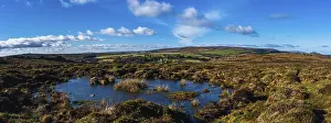 Devon England Landscape Prints: Fields and meadows in Haytor Rocks