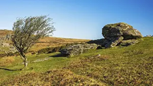British Countryside Prints: Fields and meadows in Haytor Rocks