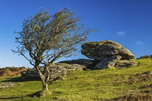 Devon Countryside Views Prints: Fields and meadows in Haytor Rocks