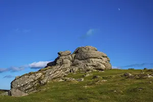 British Countryside Prints: Fields and meadows in Haytor Rocks