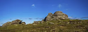 Devon England Landscape Prints: Fields and meadows in Haytor Rocks