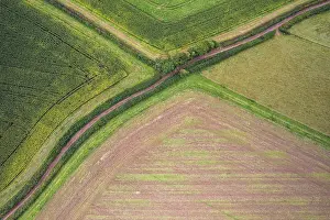 Agricultural Fields UK Prints: Fields and Meadows over Torbay from a drone