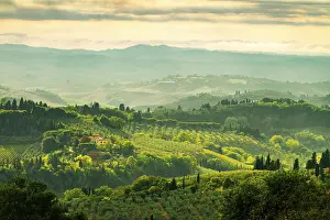 European Agrarian Landscapes Prints: Fields in Tuscany