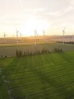 Alternative Energy Germany Prints: Fields with wind turbines in the soft evening sun