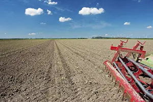 Dutch Windmill Landscape Prints: Fields with young vegetable fields and detail of planting machine