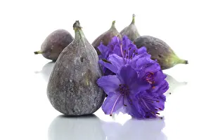 Fresh Figs Prints: Fig with a flower