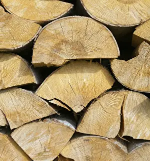Environmental Protection Tips Prints: Fire woods