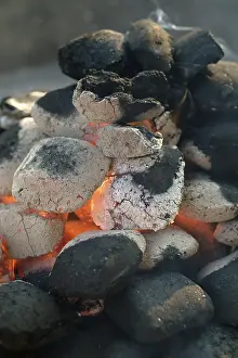 Charcoal Grill Recipes Prints: Fireplace