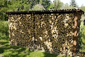 Renewable Energy Prints: Firewood