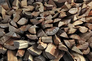 Split Firewood Prints: Firewood, logs, split