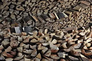 Wooden Structure Prints: Firewood, logs, split