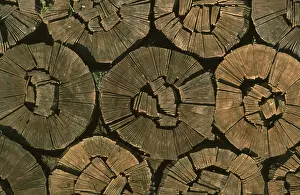 Green Energy Technology Prints: Firewood, split logs