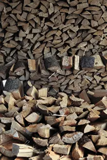 Uninhabited Landscape Prints: Firewood, split logs